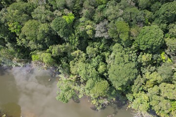 A floresta amazônica às margens de um rio, no Estado do Pará, Brasil, em uma imagem obtida com sobrevoo de drone. © Ricardo_S_Levenhagen