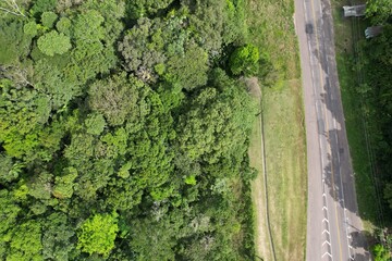Uma área de floresta amazônica junto à estrada, no estado do Pará, Brasil, em uma imagem aérea obtida com drone. © Ricardo_S_Levenhagen