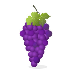 Grapes icon. Bunch of purple grapes with stem and leaf. Vector illustration isolated on white background.