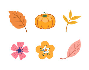 파스텔 가을 식물