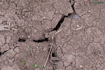 Barren land with broken surface due to prolonged drought, macro detail of cracked earth texture...