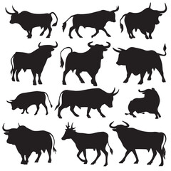 black bull isolated on white