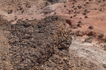 sandy conglomerate / Willow Tank Formation. Fire Wave Trail, Valley of Fire State Park, Clark County, Nevada geology.