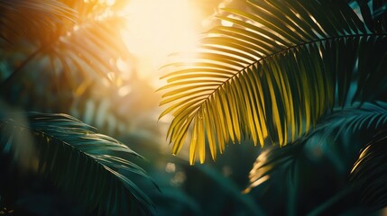 Tropical foliage bathed in golden sunlight.