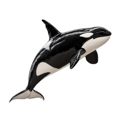 Obraz premium Majestic Orca Specimen Posing on an Isolated White Background Scene