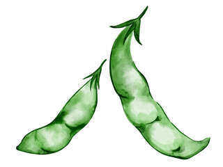 水彩で描いた夏野菜のさやえんどうの料理食材の水彩ベクターイラスト素材一式セット