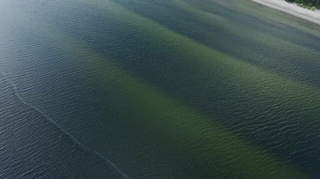Green undercurrents ripple across shallow Baltic Sea waters near Ap&scaron;uciems coast