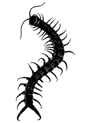 centipede vector silhouette