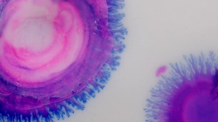 Colorful alcoholic ink spreading in fluid shapes, macro abstract visual art - Powered by Adobe