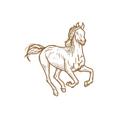 Hand-drawn sketch of a running horse