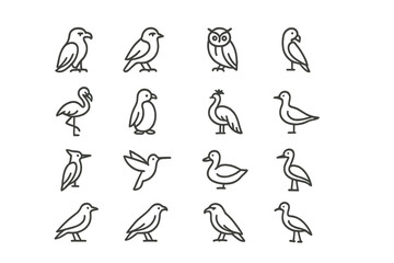 Variety of bird illustrations showcasing different species in a simple line art design for educational purposes