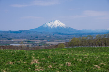 牧場から望む残雪の羊蹄山を見渡す風景
