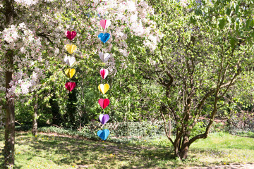 Colorful heart garlands hanging from a cherry blossom tree in a garden during spring