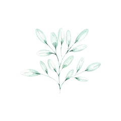 Beautiful floral vector illustration of a spring branch with delicate petals and leaves, perfect for nature-inspired designs
