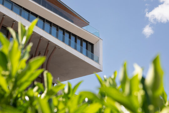 Detail of a modern building facade in Bordeaux, France with green leaves in the foreground