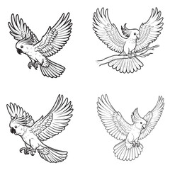 Fototapeta premium Cockatoo Silhouette – Elegant Exotic Bird with Distinctive Crest