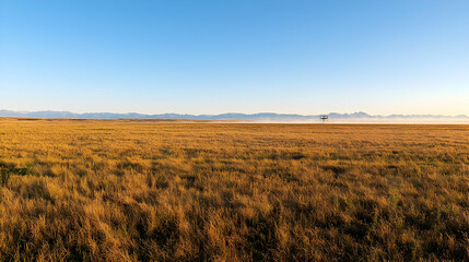 Fototapeta premium Golden Wheat Field Landscape At Sunrise
