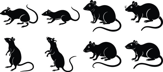 Set rat of silhouettes of withe Background  