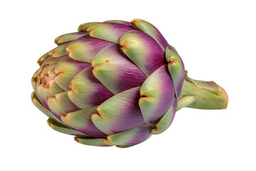 Fresh artichoke isolated on transparent background, a healthy and delicious vegetable.