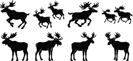 Set Moose of silhouettes of withe Background 