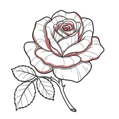 Seamless Monochrome Floral Pattern. Hand Drawn Floral Texture, Decorative Flowers, Coloring Book.
