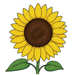 Seamless Monochrome Floral Pattern. Hand Drawn Floral Texture, Decorative Flowers, Coloring Book.