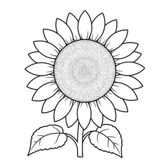Seamless Monochrome Floral Pattern. Hand Drawn Floral Texture, Decorative Flowers, Coloring Book.