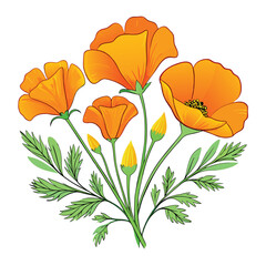Graphic Illustration of Orange Poppy Flowers with Green Stems and Foliage on White
