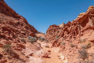 Fototapeta premium Desert varnish, red Aztec Sandstone outcrops. Rainbow Vista Trail, Valley of Fire State Park, Clark County, Nevada geology. Weathering