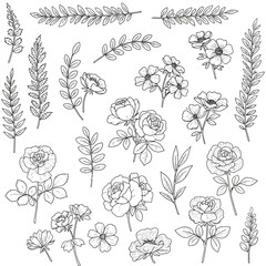 Seamless Monochrome Floral Pattern. Hand Drawn Floral Texture, Decorative Flowers, Coloring Book.