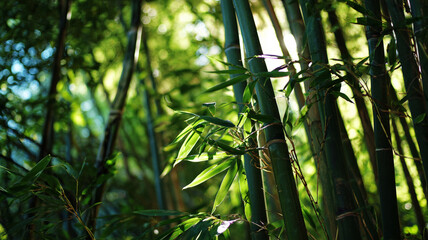 Dense bamboo forest with sunlight filtering through leaves creates serene and tranquil atmosphere. vibrant green hues and tall bamboo stalks add to natural beauty