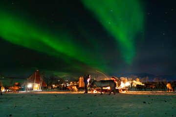 auroras with reindeer at night © Jordi Heng