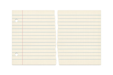 Lined notebook paper, ripped in half, rests on a transparent background, providing ample space for notes or messages