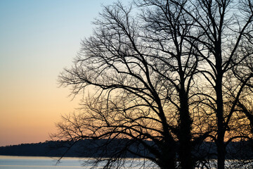 Sonnenuntergang an der Müritz, Bäume am Ufer, Waren, Müritz, Mecklenburgische Seenplatte, Mecklenburg, Mecklenburg-Vorpommern, Deutschland, Europa
