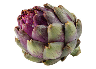 Obraz premium Artichoke on clear