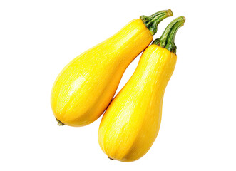 Artistic vibrant yellow squash