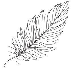 Obraz premium Black and White Line Drawing of a Single Feather Hand Drawn Sketch Illustration