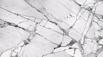 White Marble Texture Cracks