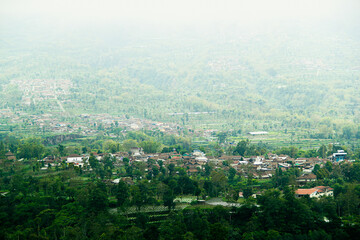 It may take up to 3 days for your approved content to be viewable elsewhere on the site.