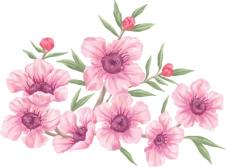 Fotobehang Tropische Bladeren pink manuka kanuka botanical painting illustration  © agum