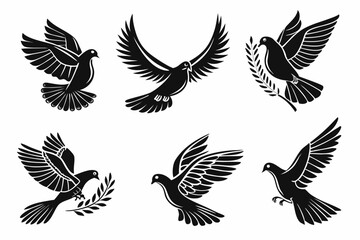 Obraz premium set of birds