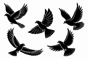 Obraz premium set of birds