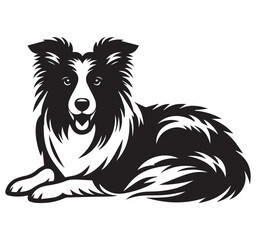 Fototapeta premium Detailed Monochrome Black and White Border Collie Dog Illustration Relaxed Lying Down Pose Vector Graphic Artwork Style