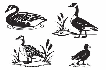 set of geese