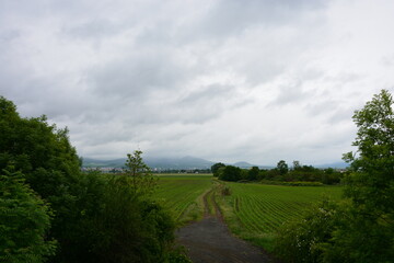 A winding dirt path cuts through a vast green field, leading towards distant mountains under a cloudy sky.