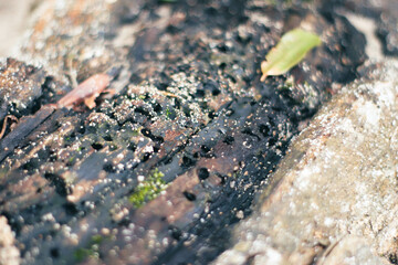 Camping by the Gulf of Thailand – Peaceful Beachfront Escape

