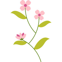 Spring Flower Illustration