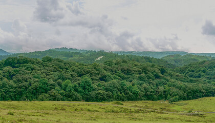 Mawphlang Sacred Forest in Meghalaya, India