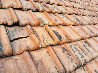 Close-up, the roof of clay tiles (terracotta) has black and greenish spots indicating the presence of moss and algae, and there are even tiles that appear cracked or broken, indicating age or damage.