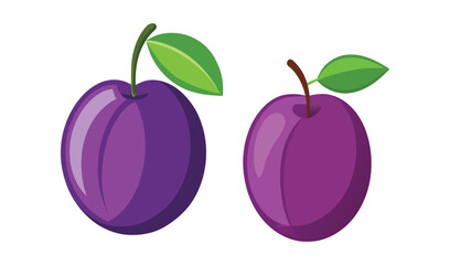 Two plums with leaves illustration